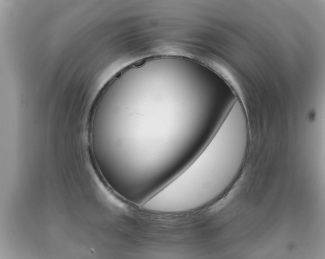 X0000091941141200709051257