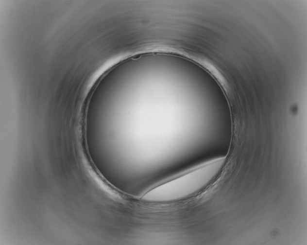 X0000091941142200709051257