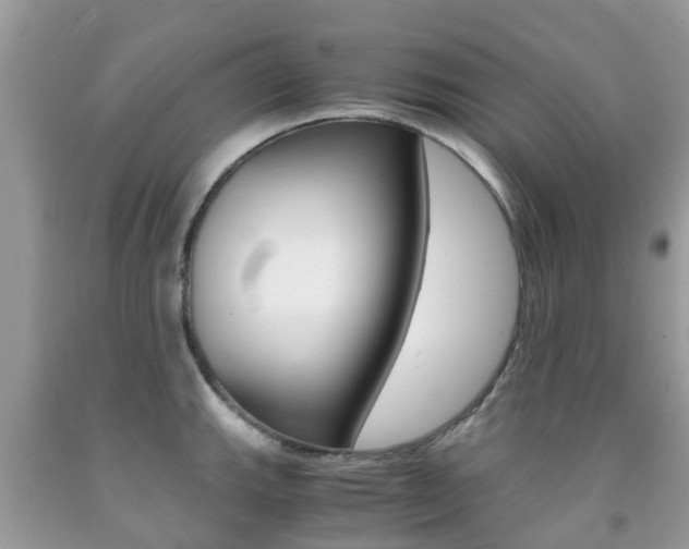 X0000091941143200709051257