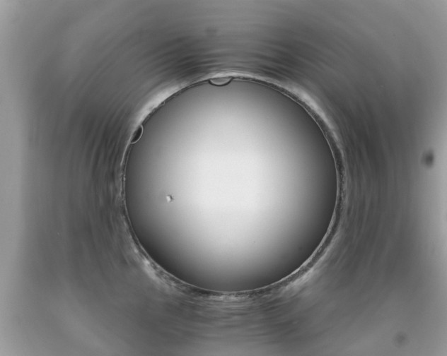X0000091941145200709051257
