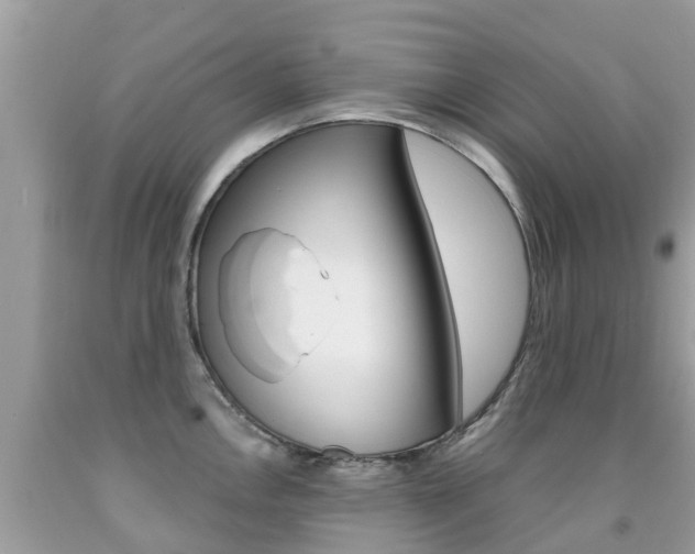 X0000091941146200709051257