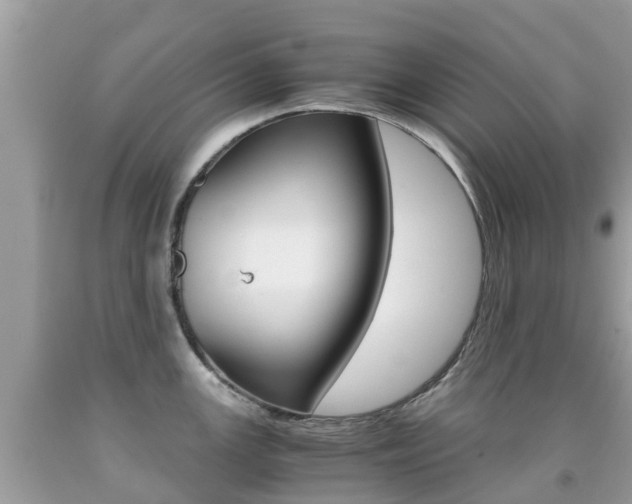 X0000091941147200709051257