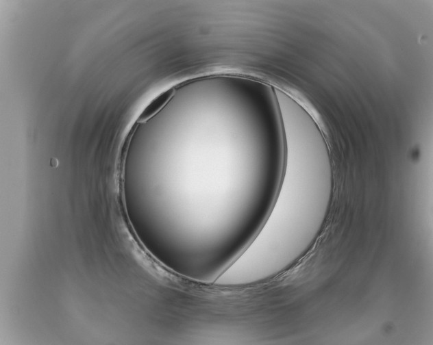 X0000091941148200709051257