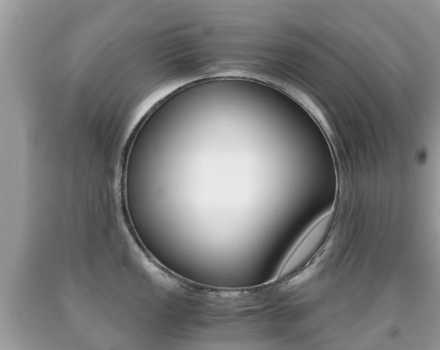 X0000091941149200709051257
