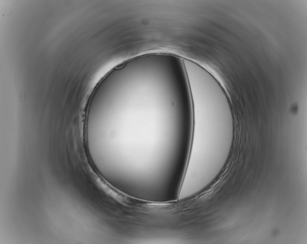 X0000091941151200709051257