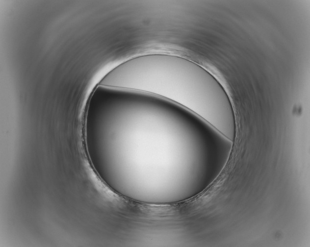 X0000091941152200709051257