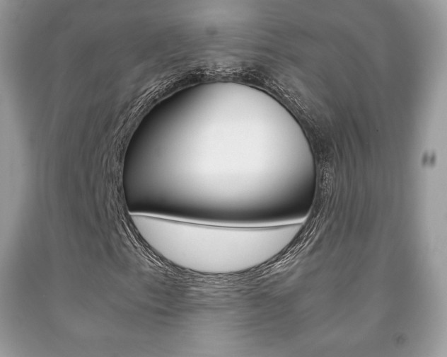 X0000091941153200709051256