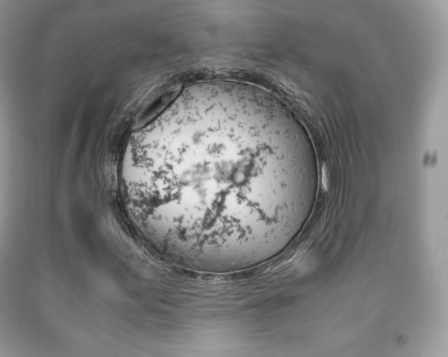 X0000091941155200709051256