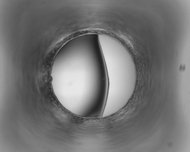 X0000091941159200709051256
