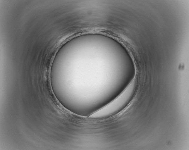 X0000091941161200709051256