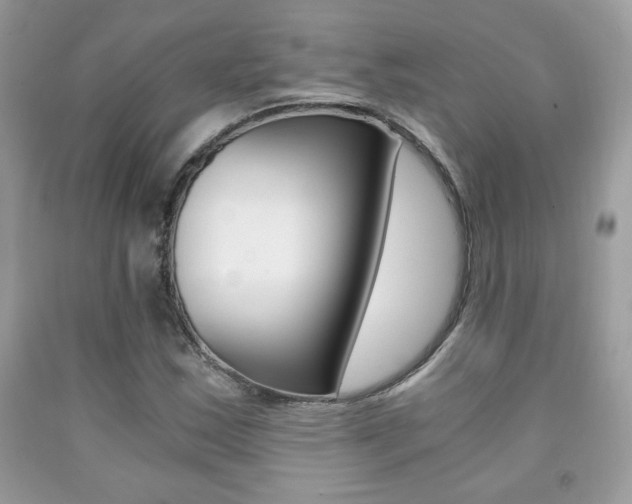 X0000091941163200709051256