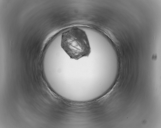 X0000091941164200709051256