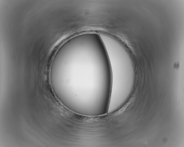X0000091941165200709051256