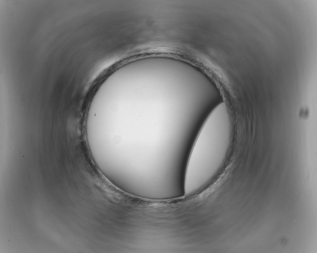 X0000091941166200709051256