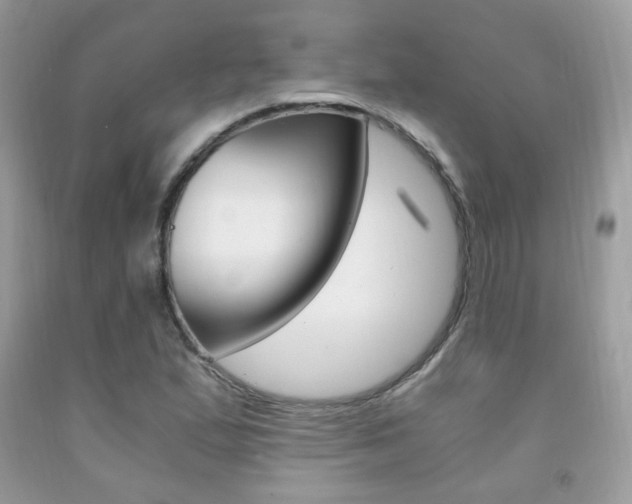 X0000091941167200709051256