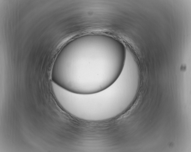 X0000091941169200709051256