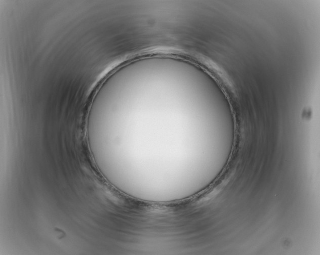 X0000091941170200709051256