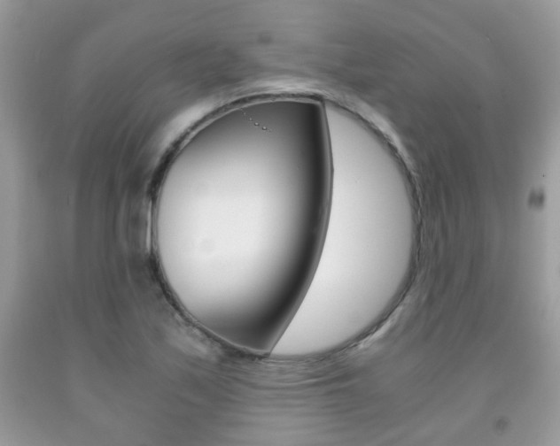 X0000091941171200709051256