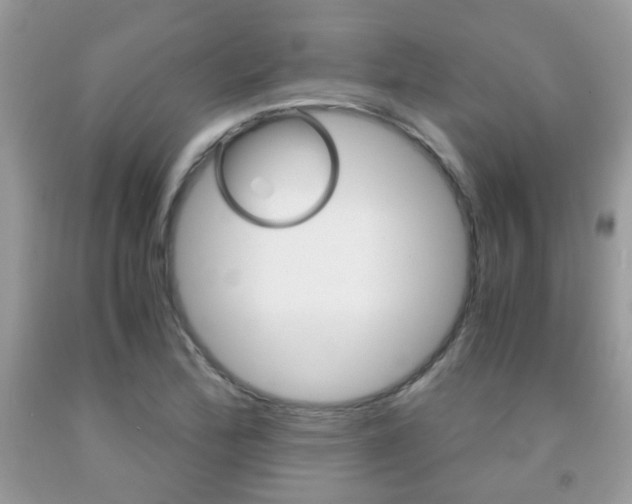 X0000091941172200709051256