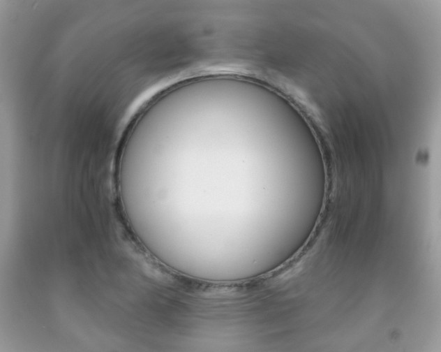 X0000091941174200709051256