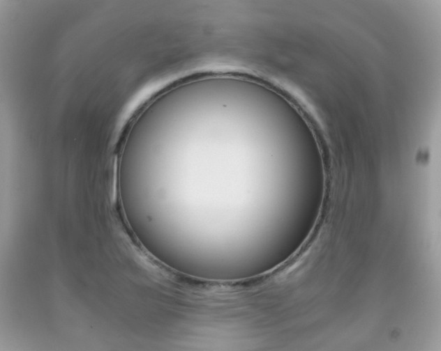 X0000091941175200709051256