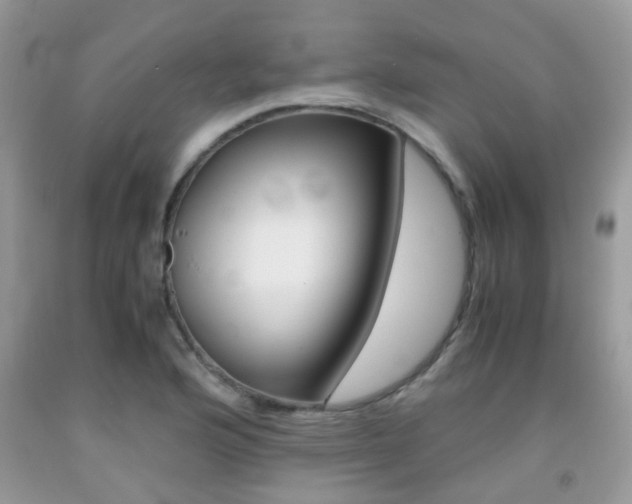 X0000091941176200709051256