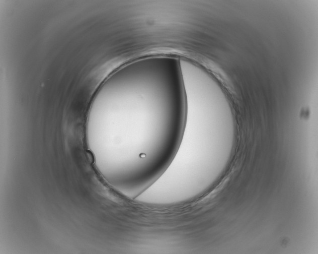 X0000091941177200709051256