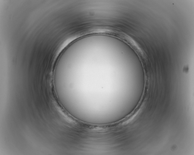 X0000091941178200709051256