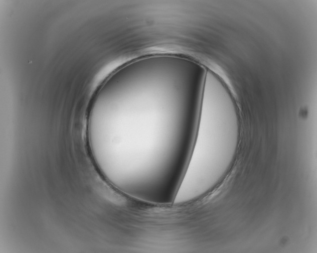 X0000091941179200709051256