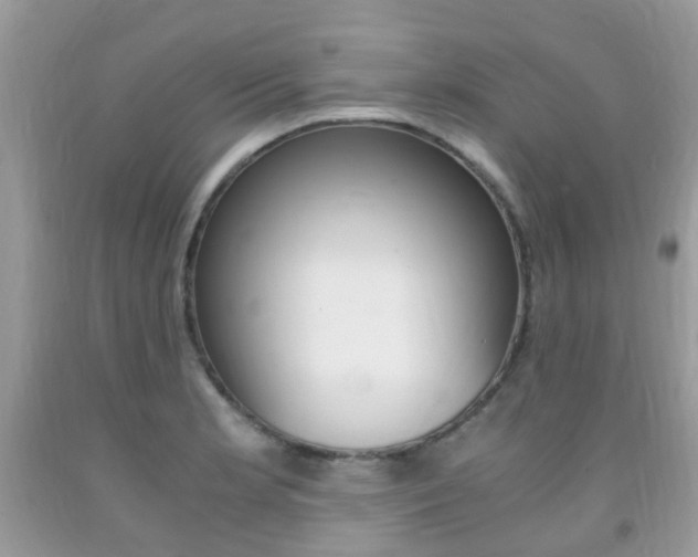 X0000091941181200709051256