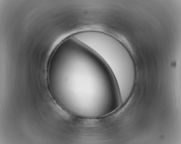 X0000091941184200709051256