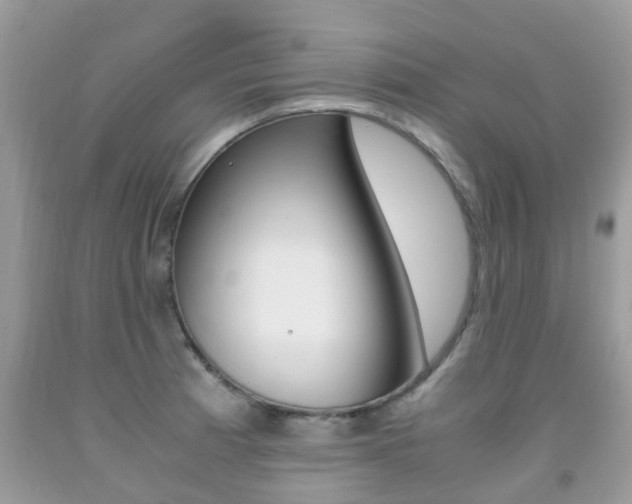 X0000091941185200709051256