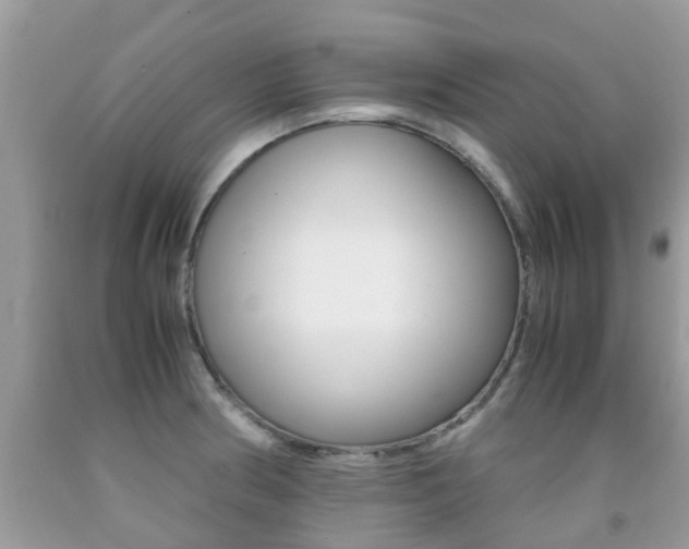 X0000091941186200709051256