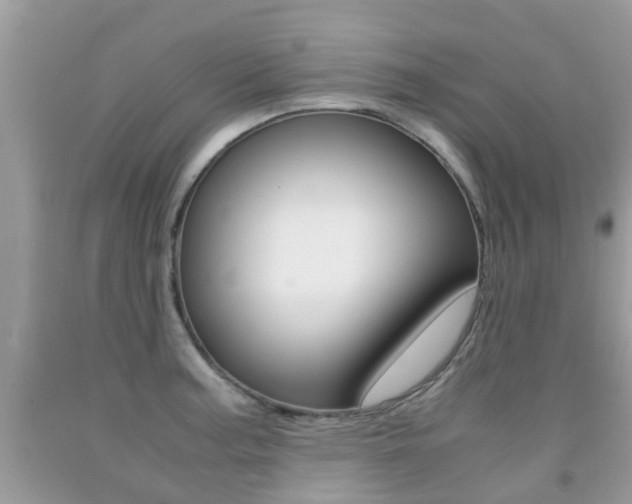 X0000091941187200709051256