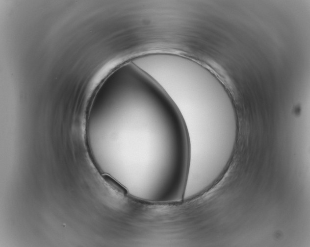 X0000091941188200709051256