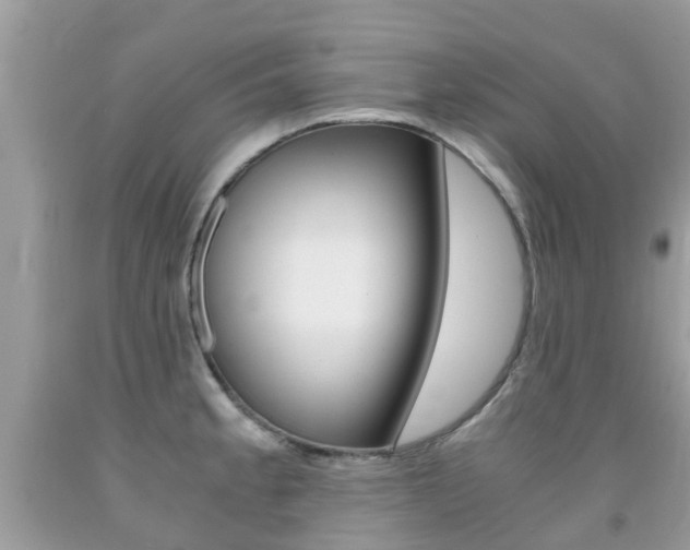 X0000091941189200709051256