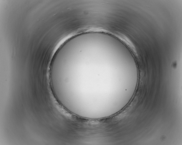 X0000091941190200709051256