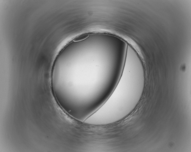 X0000091941191200709051256
