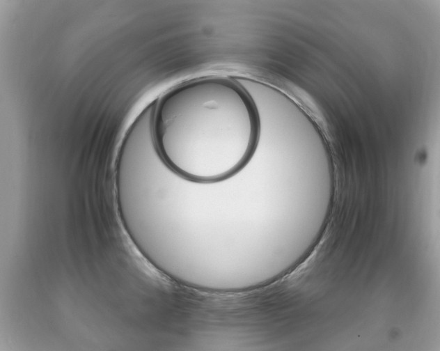 X0000091941192200709051256