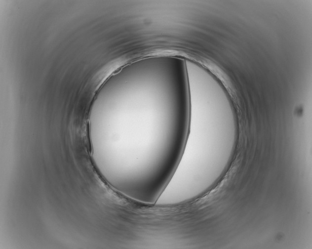 X0000091941193200709051256