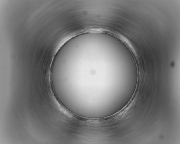X0000091941194200709051256