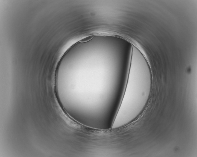 X0000091941195200709051256