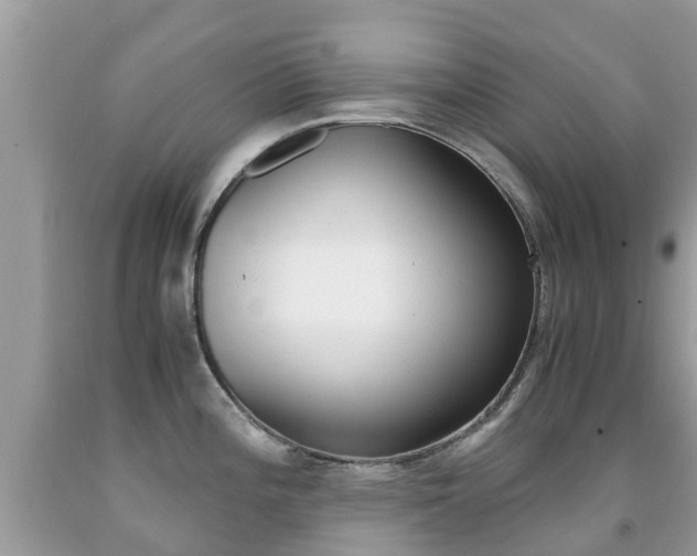 X0000091941196200709051256
