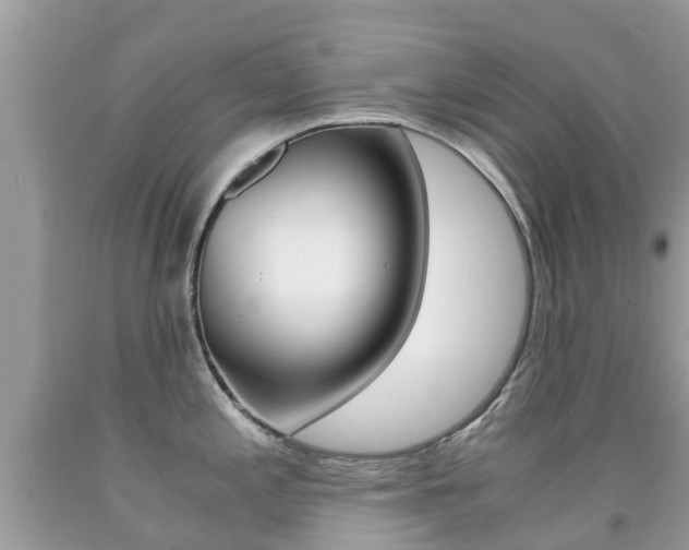 X0000091941197200709051256