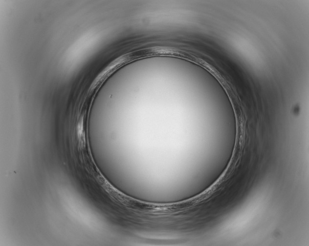 X0000091941198200709051255
