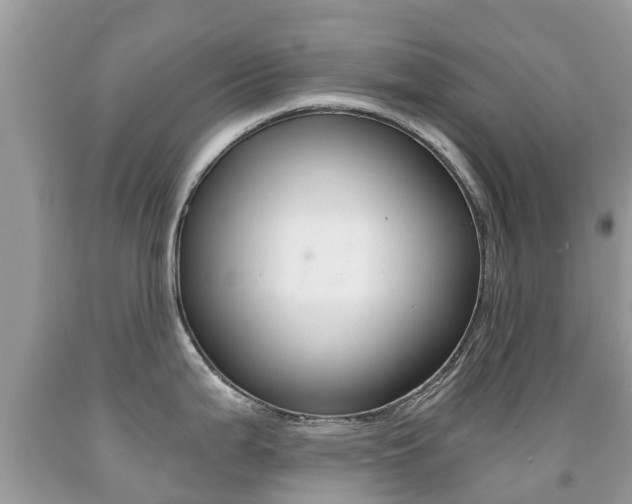 X0000091941199200709051255