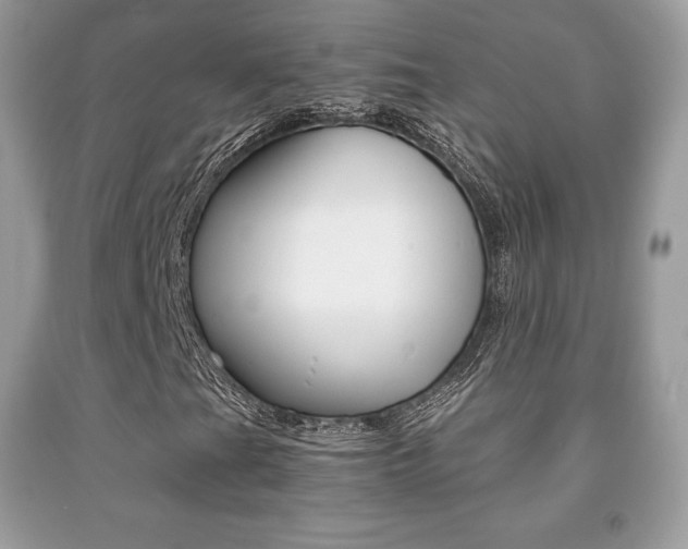 X0000091941201200709051255
