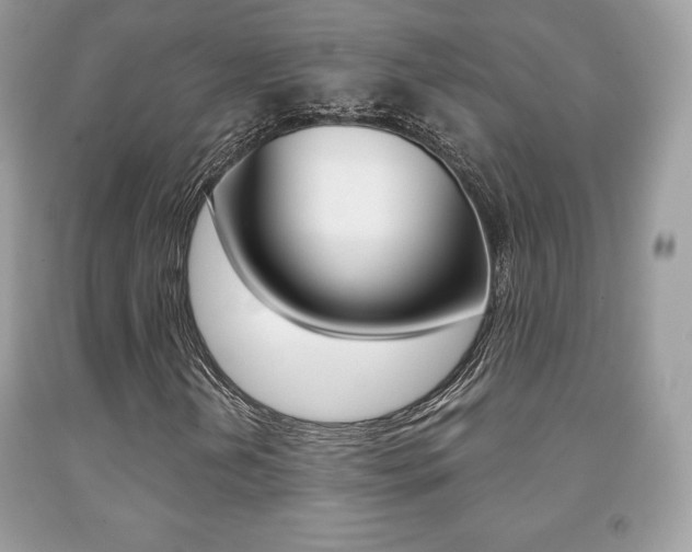 X0000091941202200709051255