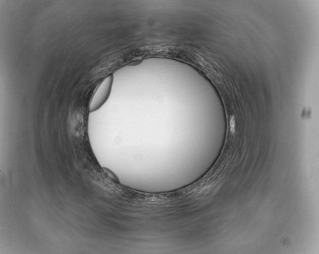X0000091941203200709051255