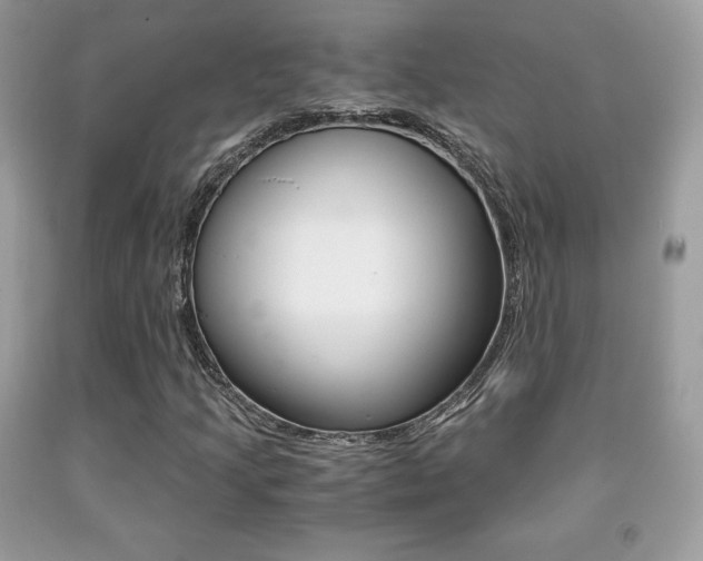 X0000091941205200709051255